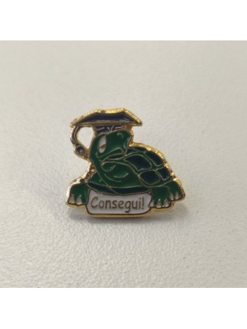 Consegui