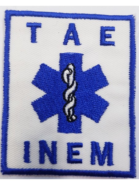 TAE Inem