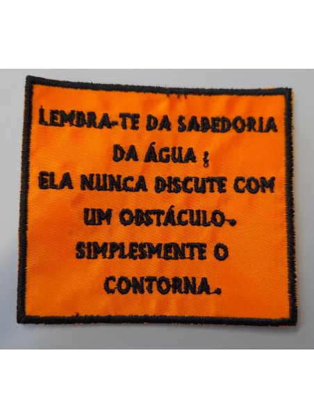 Lembra-te da Sabedoria Da Água Ela Nunca Discute Com Um Obstáculo Simplesmente O Contorna